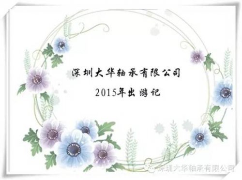 大华轴承2015年出游记