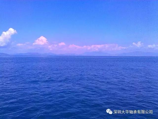 深圳大华轴承2017南澳拓展